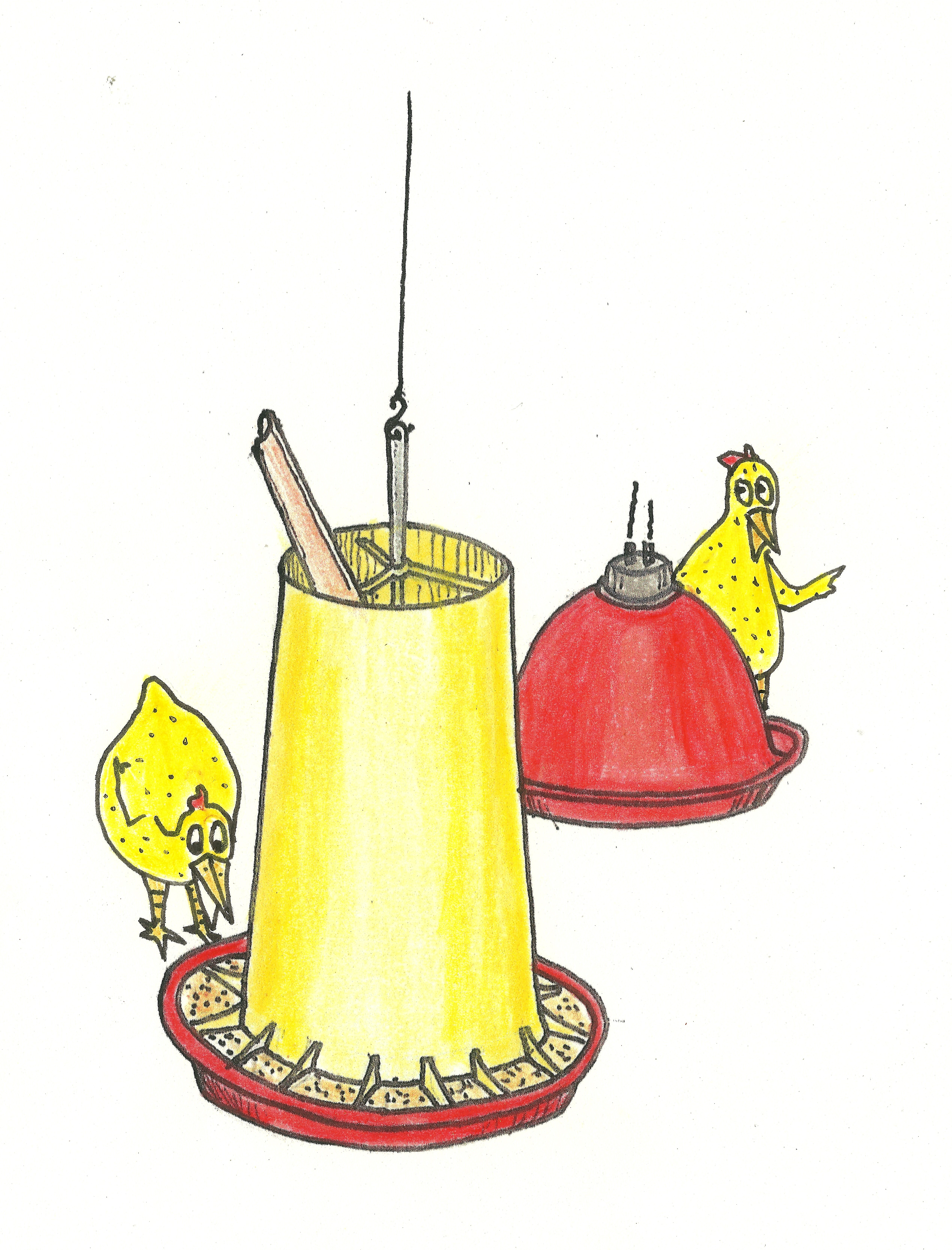 Dibujo de unos pollos enseñando los implementos manuales IVEGA